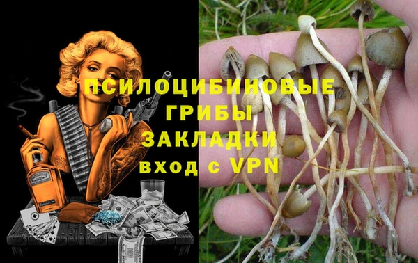 трава Алексеевка